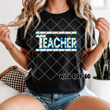 Autism Teacher