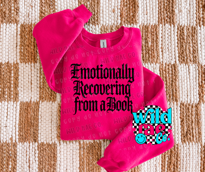 EMOTIONALLY RECOVERING FROM A BOOK