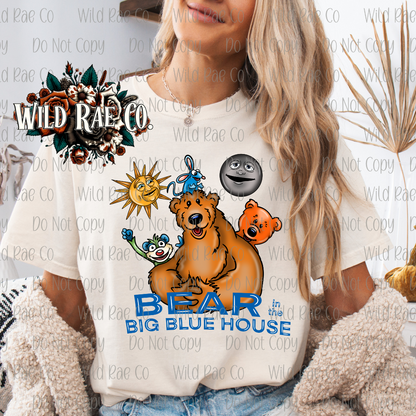 BIG BLUE HOUSE