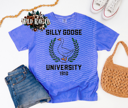 UNIVERSITY | SILLY GOOSE