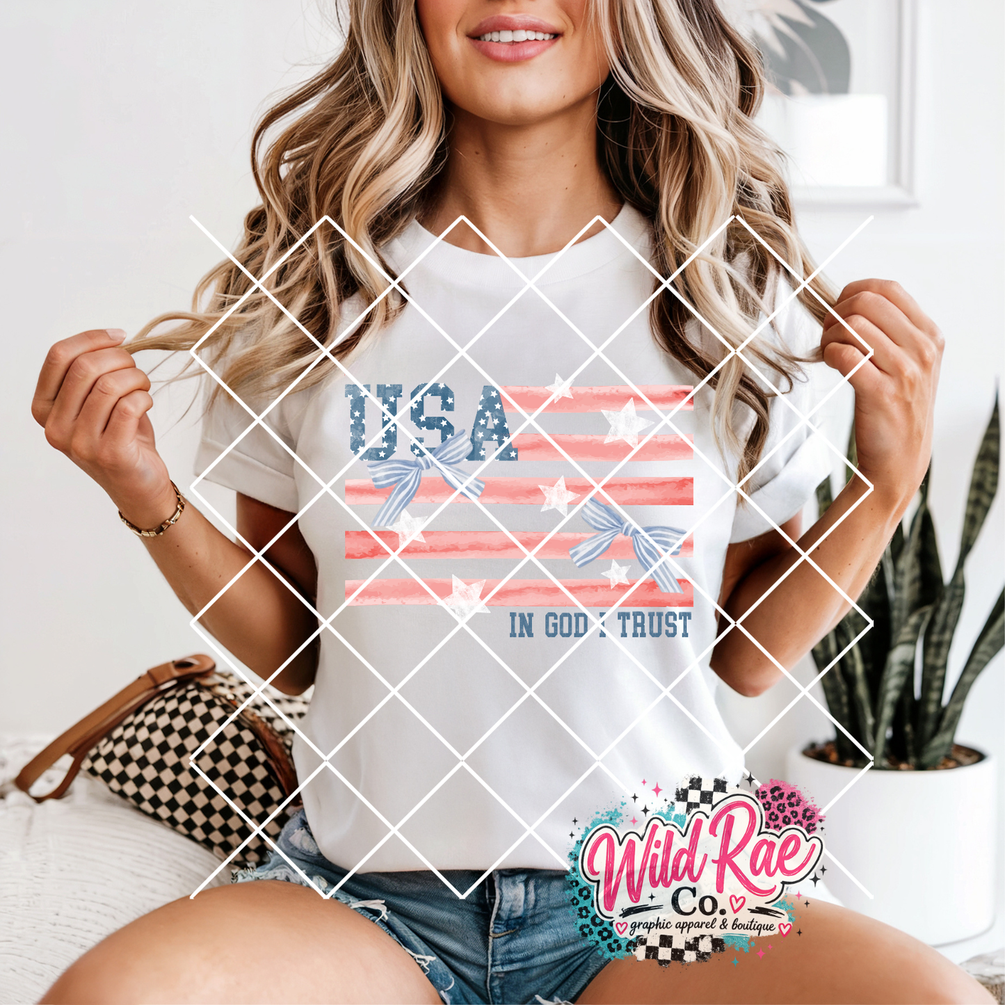 USA Flag