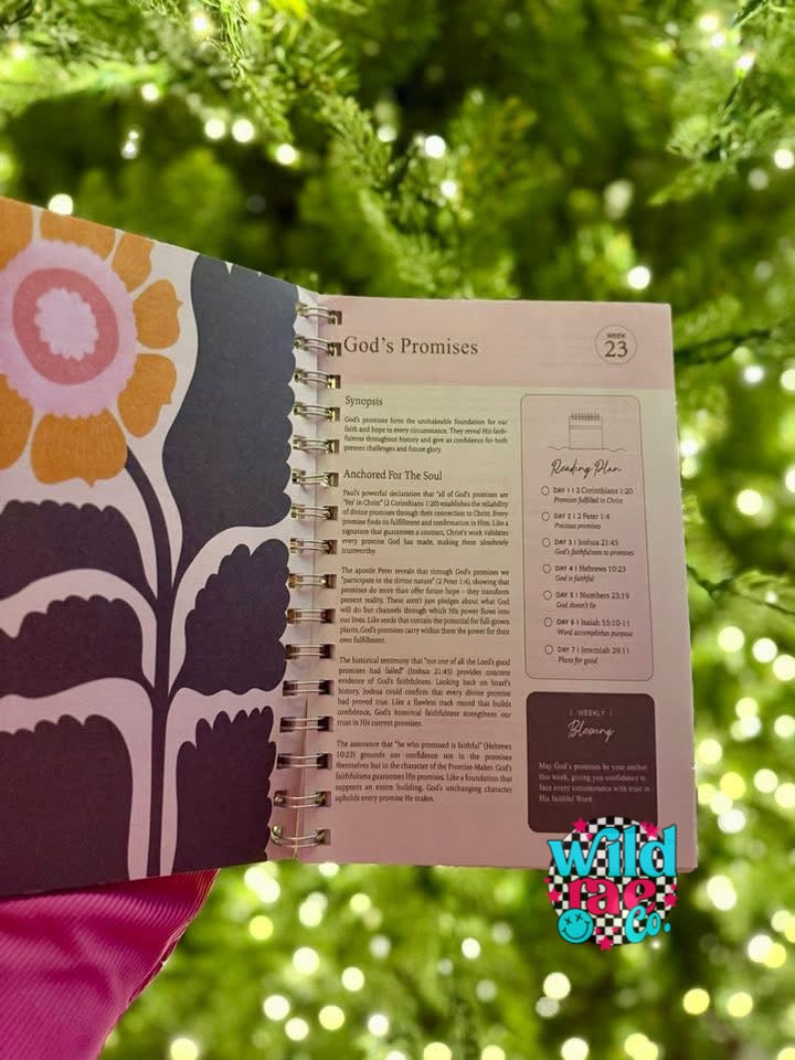 A YEAR IN THE BIBLE | CLOSING Nov. 9th | TAT 15 BUSINESS Days