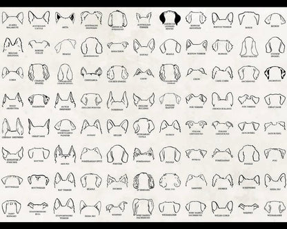 Embroidered Dog Ears | Close Sundays | TAT 25 Business days